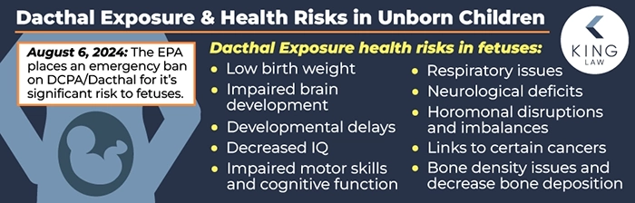 This infographic lists the possible adverse health effects of Dacthal exposure to unborn children. It also notes the date the Environmental Protection Agency issued an emergency ban on Dacthal products. Simple graphic of a silhouette of a fetus in the mother's abdomen. 