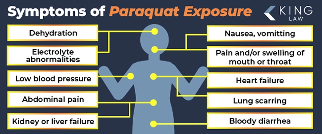 Infographic listing the symptoms and side effects of paraquat exposure and directs them to the approximate location of the body the injury occurs in or is associated with. Silhouette of a person. 