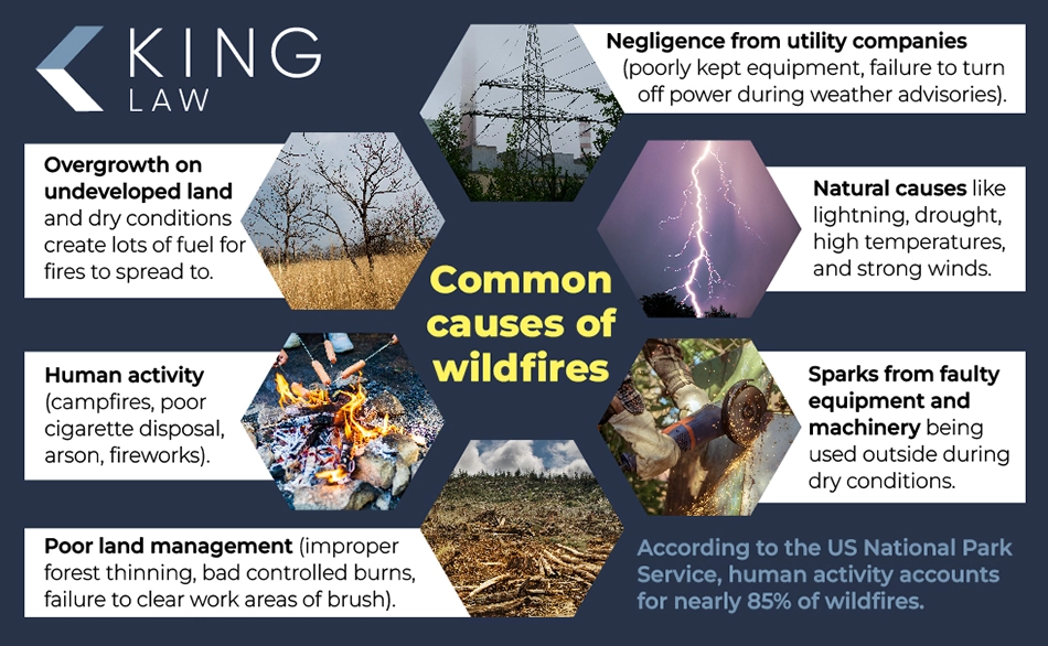 This infographic shows the common causes and factors in a wildfire with associated images, and names the number one cause of wildfires.